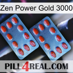 Zen Power Gold 3000 05